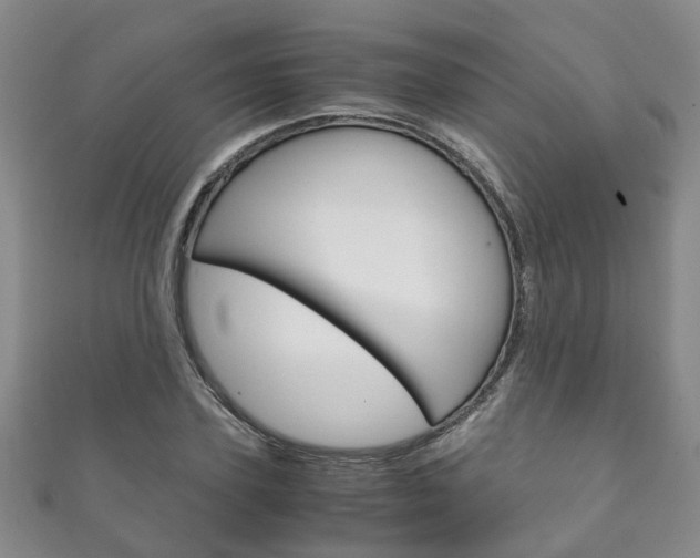 X0000111210931200907011048