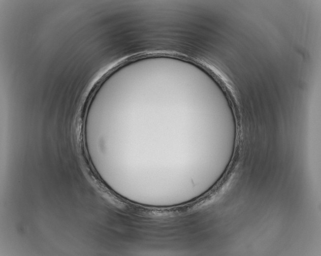 X0000111210933200907011048
