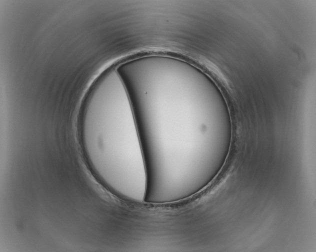 X0000111210934200907011048