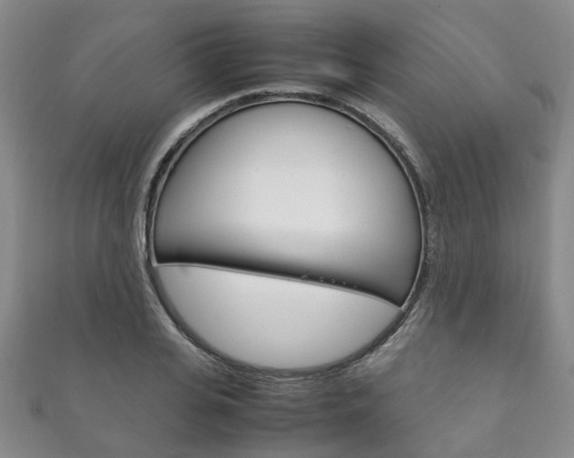 X0000111210935200907011048