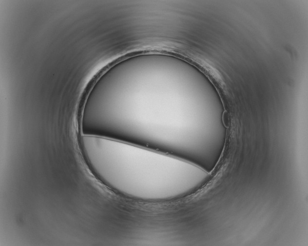 X0000111210936200907011048