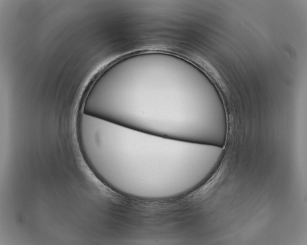 X0000111210939200907011048
