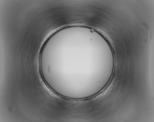 X0000111210941200907011048