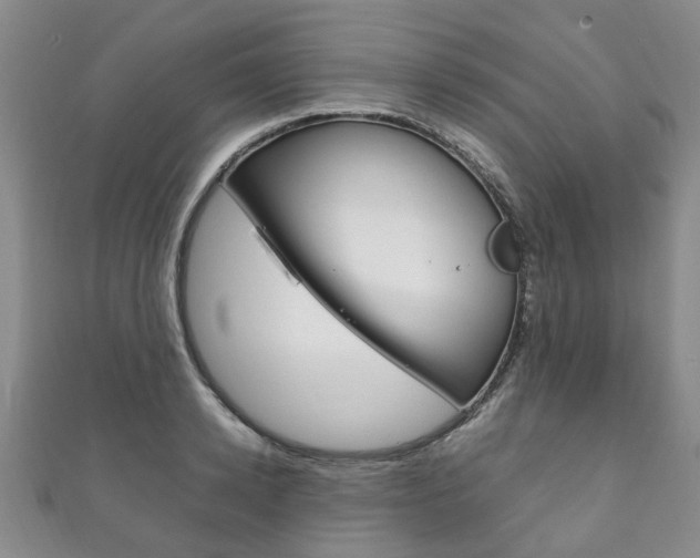 X0000111210942200907011048