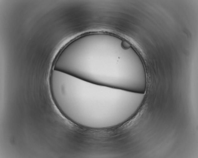 X0000111210943200907011048