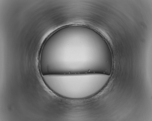 X0000111210944200907011048