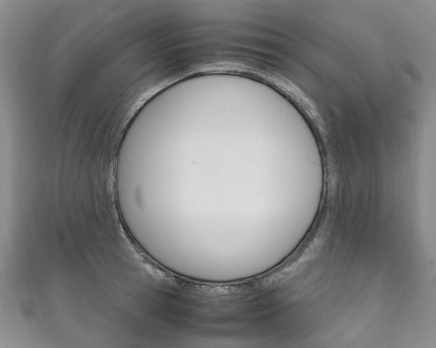 X0000111210945200907011048