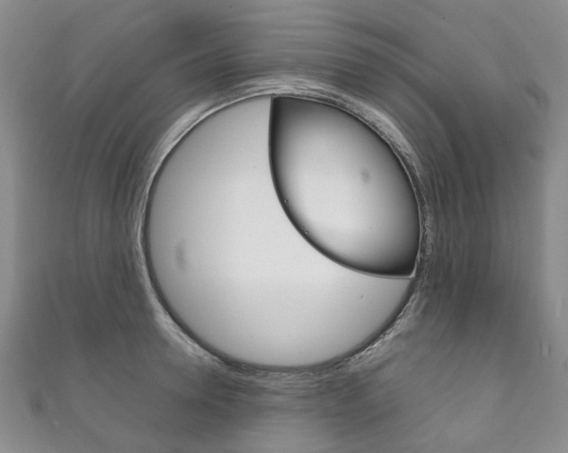 X0000111210946200907011048