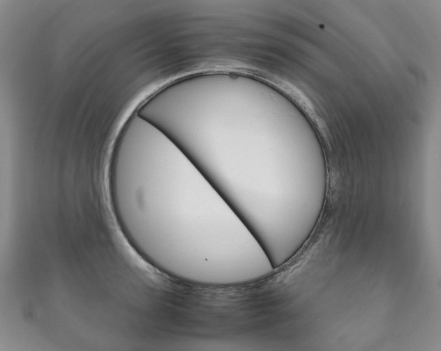X0000111210947200907011048