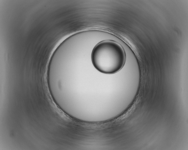 X0000111210948200907011048