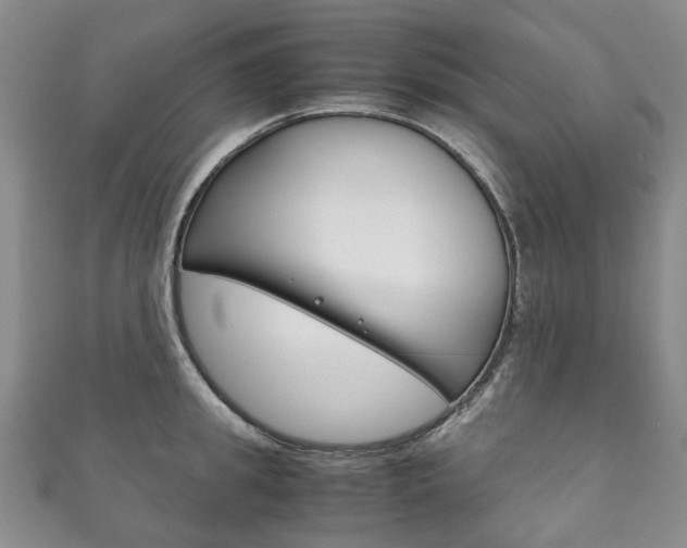 X0000111210949200907011048