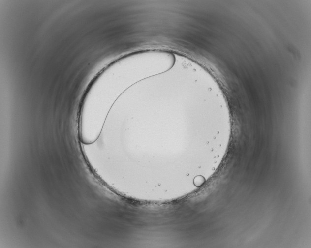 X0000111210950200907011048