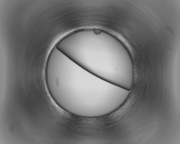 X0000111210951200907011048
