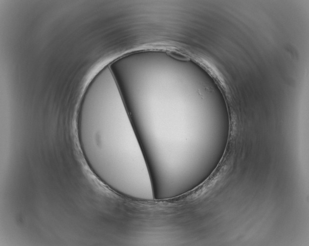 X0000111210952200907011048