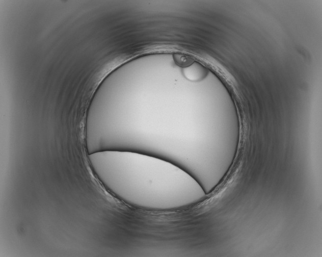 X0000111210953200907011048