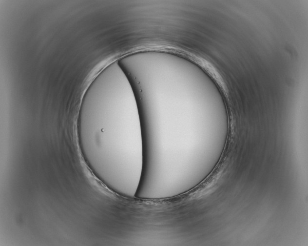 X0000111210954200907011048