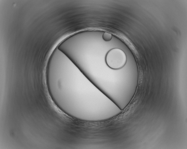 X0000111210955200907011048