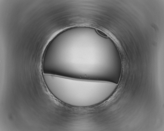 X0000111210956200907011048