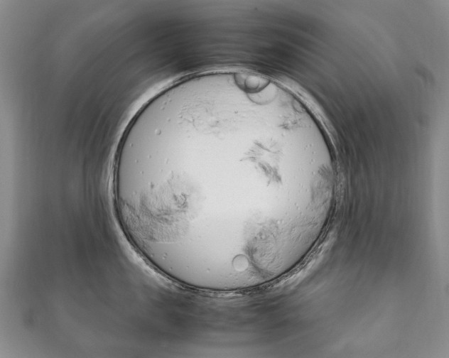 X0000111210957200907011048