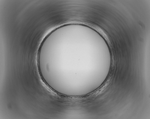 X0000111210958200907011048