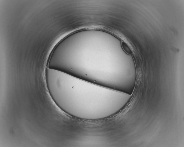 X0000111210959200907011048