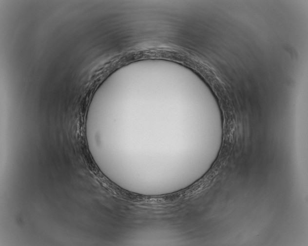 X0000111210966200907011048