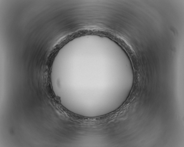 X0000111210968200907011047