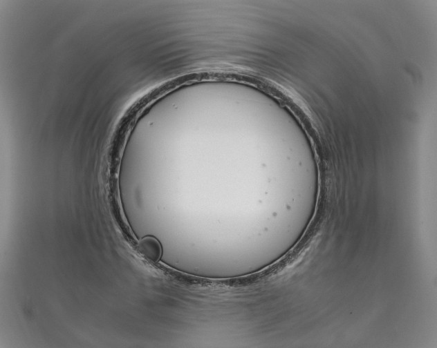 X0000111210971200907011047