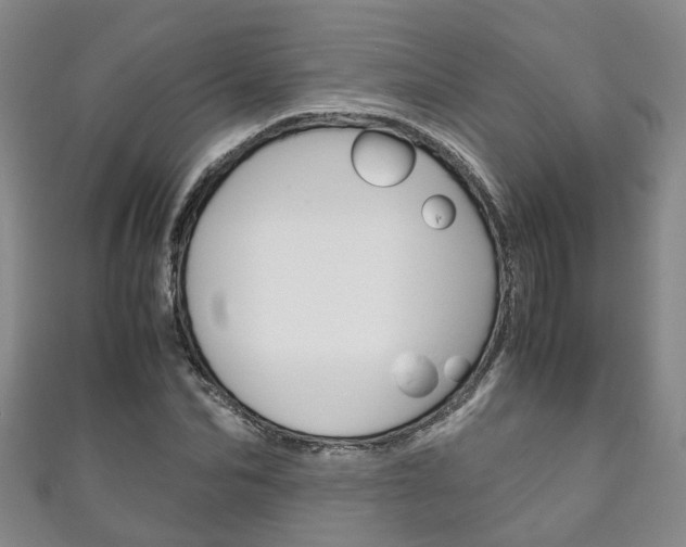 X0000111210974200907011047