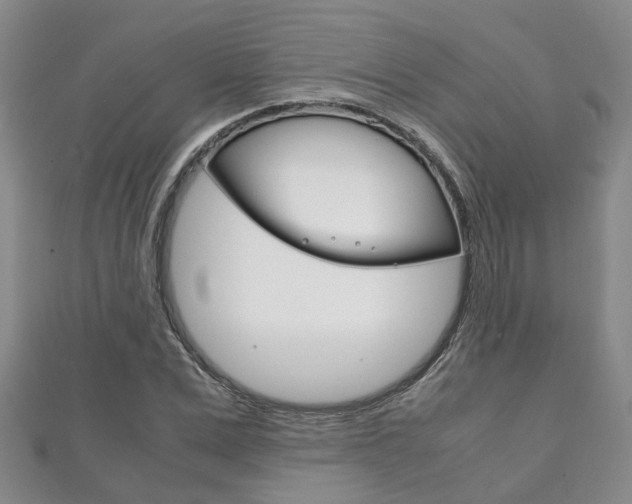 X0000111210975200907011047