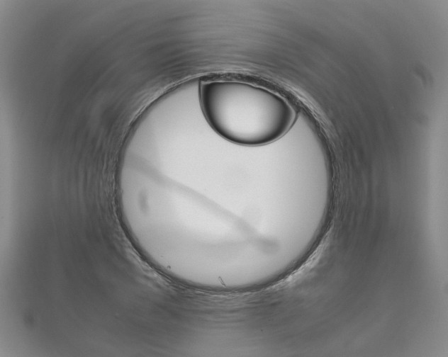 X0000111210977200907011047