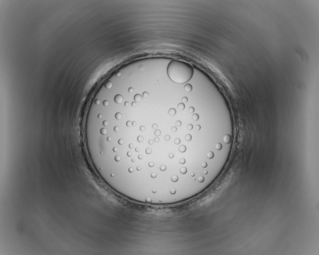 X0000111210978200907011047