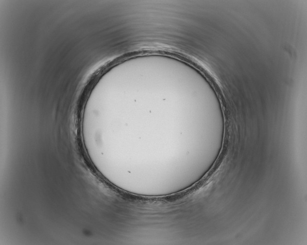 X0000111210979200907011047
