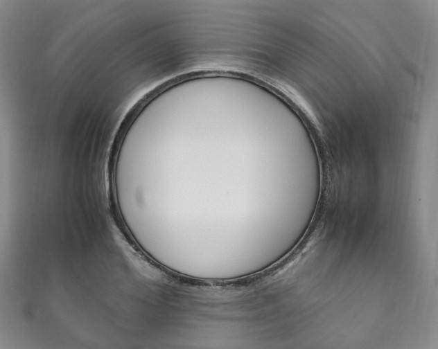 X0000111210980200907011047