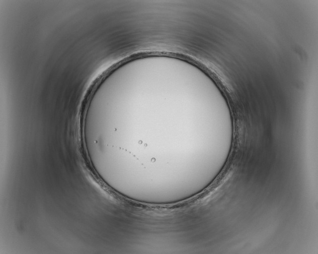 X0000111210982200907011047
