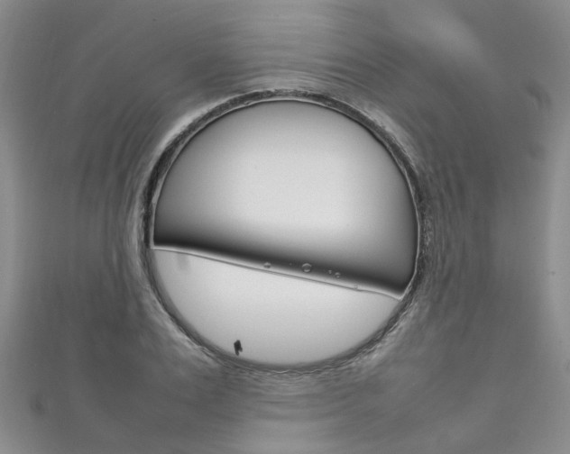 X0000111210983200907011047