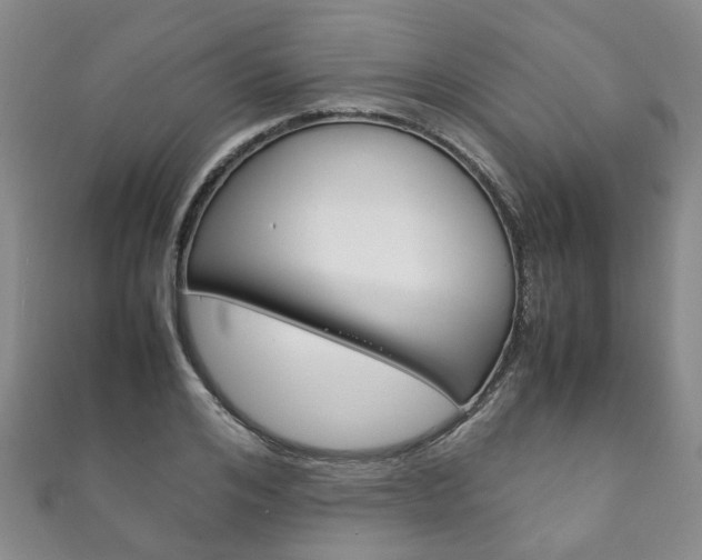 X0000111210984200907011047