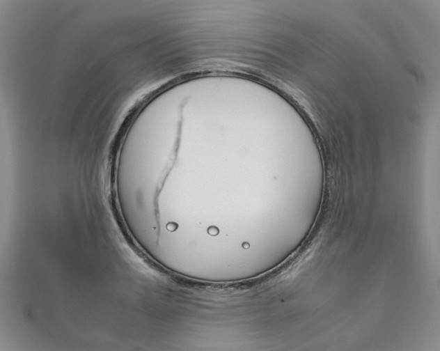 X0000111210987200907011047