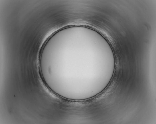 X0000111210990200907011047