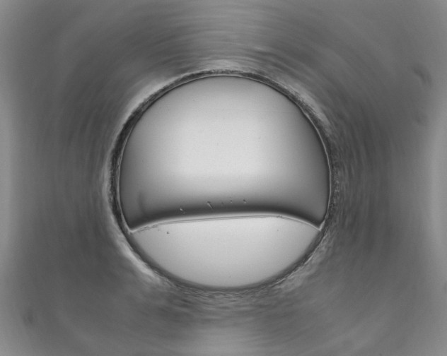 X0000111210991200907011047