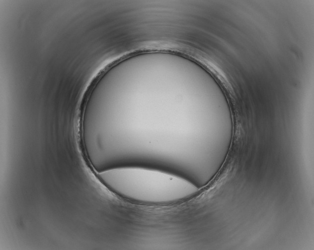 X0000111210992200907011047