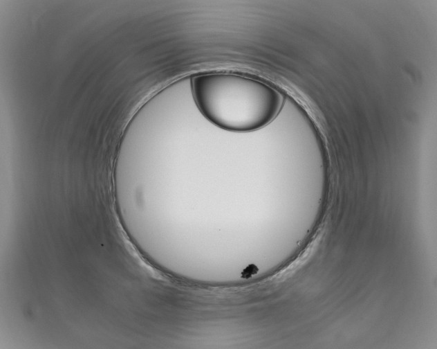 X0000111210993200907011047