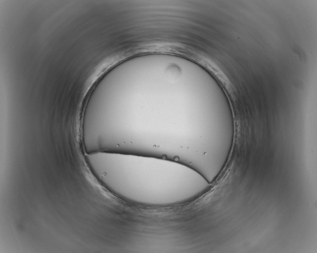 X0000111210994200907011047