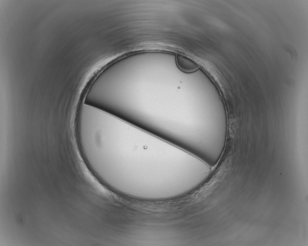 X0000111210995200907011047