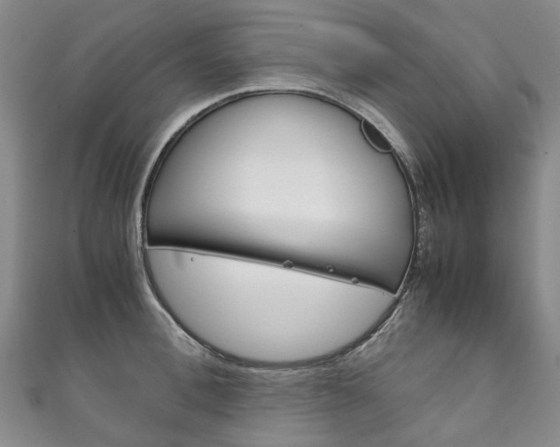 X0000111210996200907011047