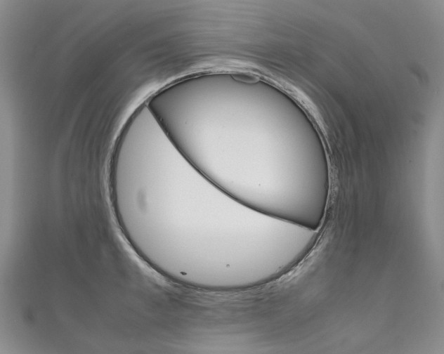 X0000111210997200907011047