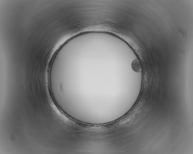 X0000111210998200907011047