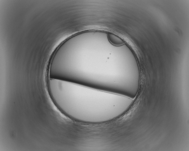 X0000111210999200907011047