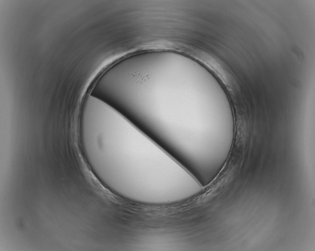 X0000111211000200907011047