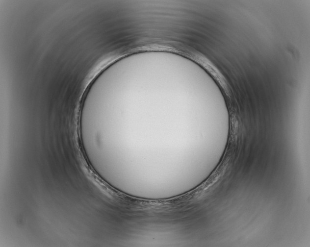 X0000111211002200907011047